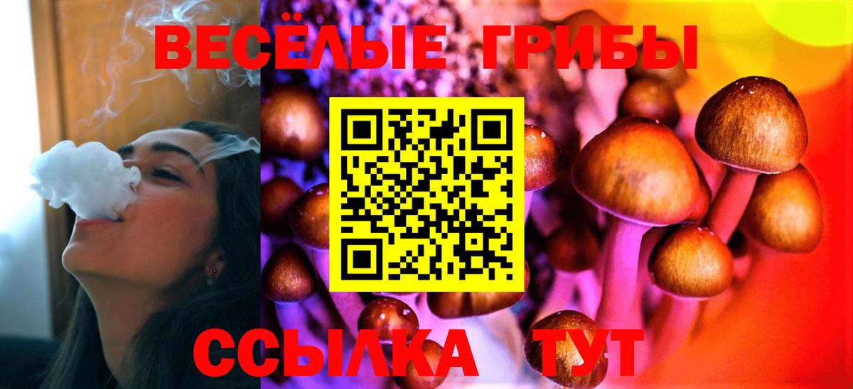 Новокубанск  Галлюциногенные грибы Psilocybe  Вход с VPN 